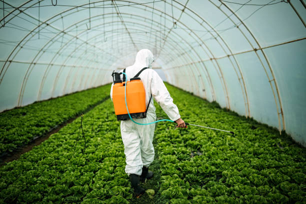 Reliable Crest, CA Pest Control Solutions