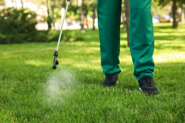 Best Rat Extermination Near Me  in Crest, CA