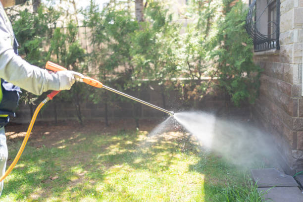 Insect Control in Crest, CA