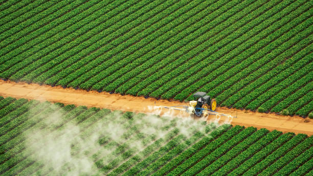 Best Mosquito Control Services  in Crest, CA
