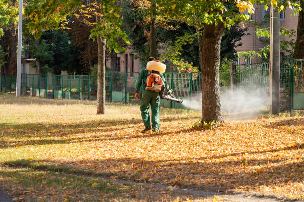Best Pest Control Treatment  in Crest, CA