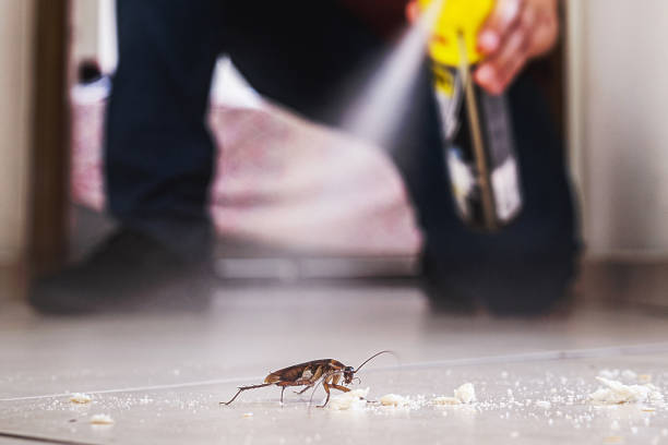 Best Bed Bug Extermination  in Crest, CA