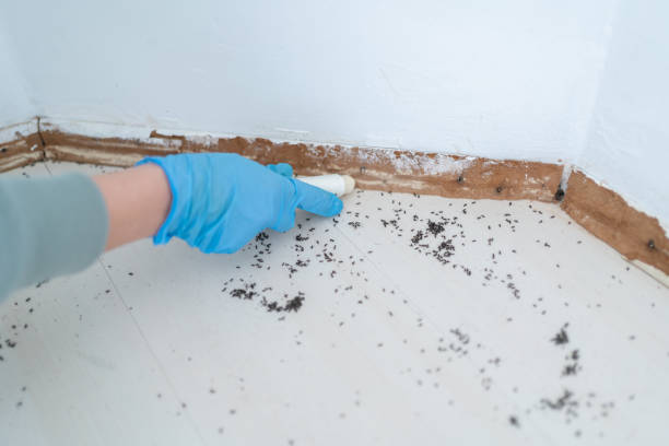 Best Pest Inspection Near Me  in Crest, CA