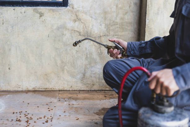 Best Local Pest Control Services  in Crest, CA